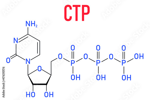 Cytidine triphosphate or CTP RNA building block molecule. Also functions as cofactor to some enzymes. Skeletal formula. photo