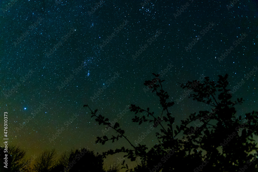 Naklejka premium starry night sky