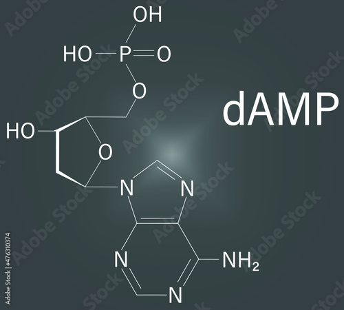 Deoxyadenosine monophosphate or dAMP nucleotide molecule. DNA building block. Skeletal formula.