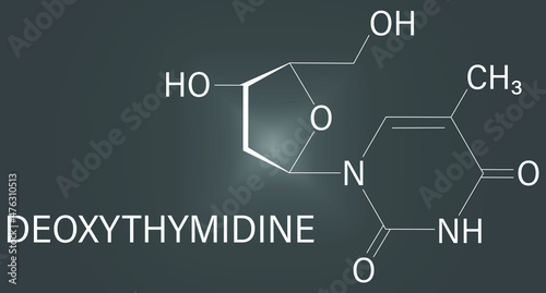 Deoxythymidine or Thymidine nucleoside molecule. DNA building block. Skeletal formula.