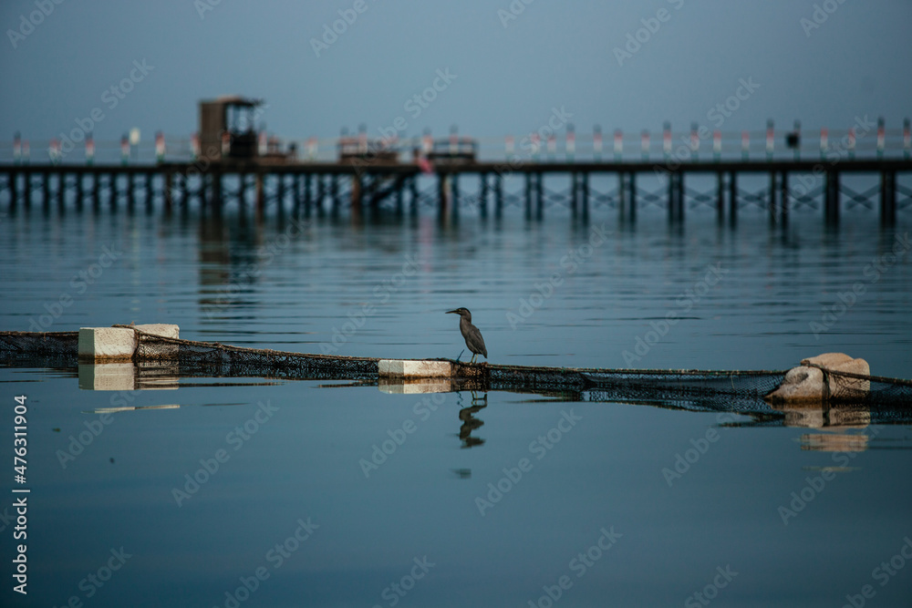 Fototapeta premium pier in the sea