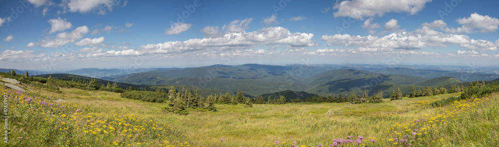 custom made wallpaper toronto digitalmeadow on a mountain ridge and wooded mountain valleys