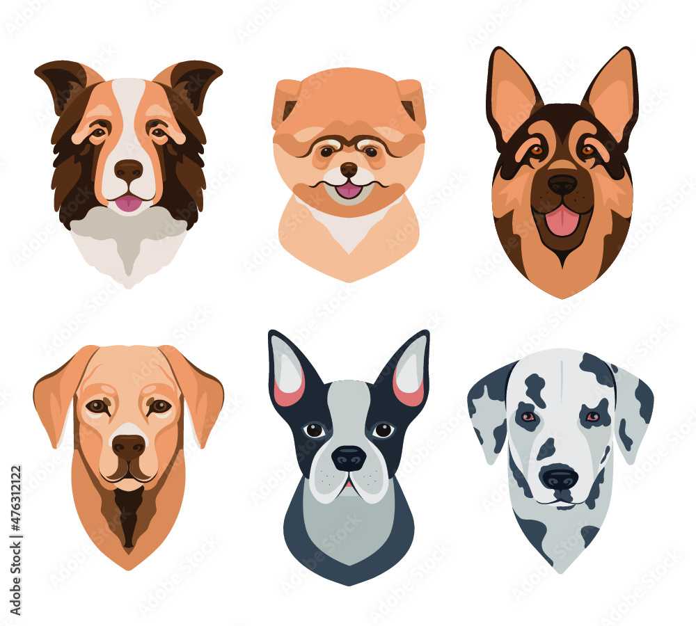 Obraz premium Dog different breeds head icons. Cartoon dog faces set. Vector illustration isolated on white. Doggy different breeds heads.