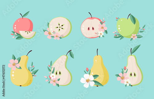 Set of fruit compositions from apples and pears. Blooming apple and pear trees with branches and leaves. Summer set of fruits for label design. Seasonal fruits in flat style