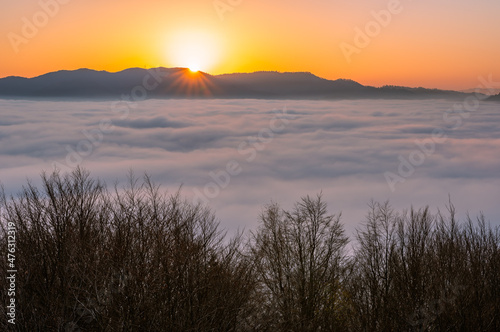Fototapeta Naklejka Na Ścianę i Meble -  Misty autumn mountains landscape in the morning, Poland, Beskidy mountains, Prehyba peak seen from Koziarz.