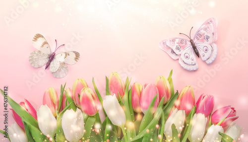 Fototapeta Naklejka Na Ścianę i Meble -  Spring Easter composition with pink tulips flowers and butterflies on pastel background. Valentine's, Women's, Mother's Day concept, top view, copy space