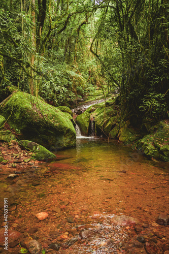 Waterfall in the jungle photo