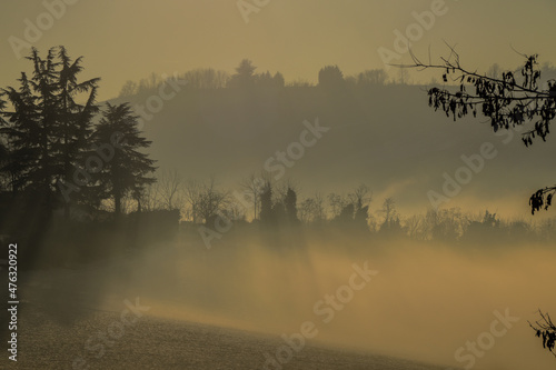 Fototapeta Naklejka Na Ścianę i Meble -  Raggi del sole nella nebbia