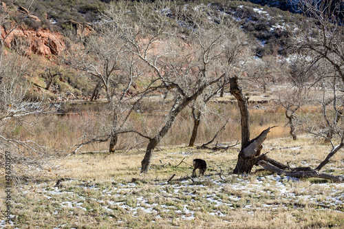 Zion National Park, Utah