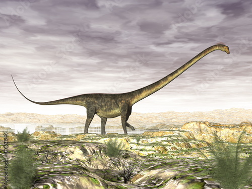 Barosaurus dinosaur in the desert - 3D render © Elenarts