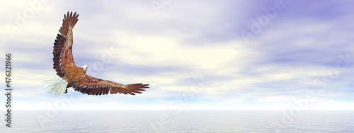 Eagle bird flying over the water - 3D render