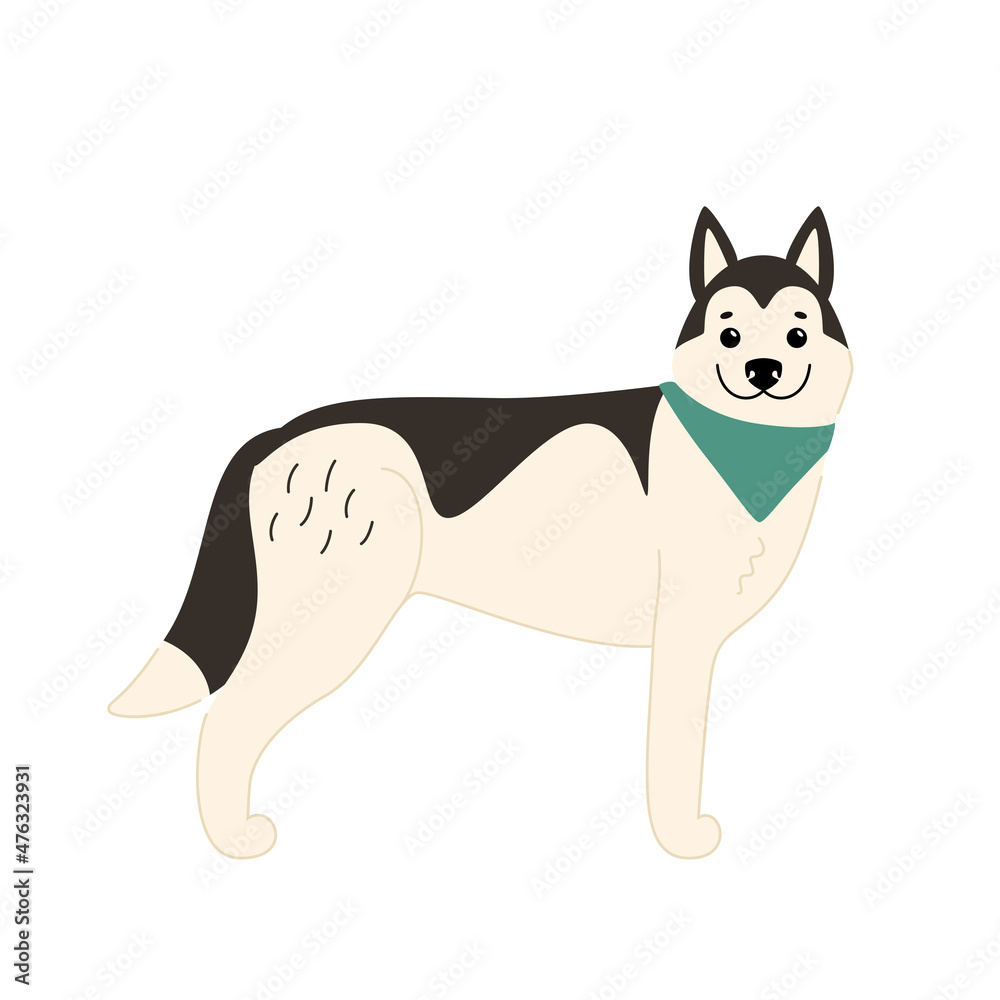 Cute Siberian Husky stands in a playful pose. Vector illustration of a dog Cute Siberian Husky stands in a playful pose. Vector illustration of a dog