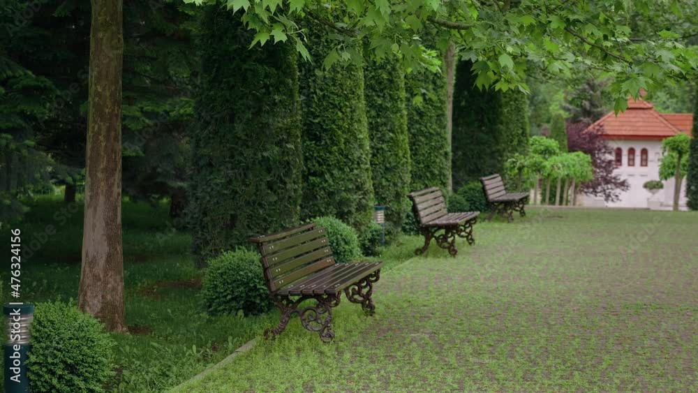 Beautiful green park in the spring summer season. Wood bench nature green background. Beautiful green park in the spring summer season. Wood bench nature green background.