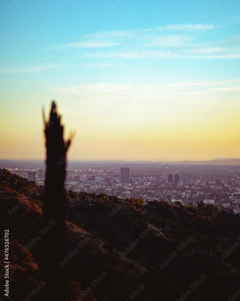 Downtown Los Angeles at Sunset