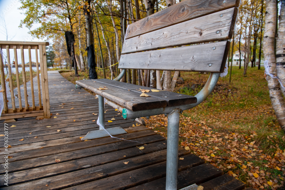 Multiple dried yellow autumn leaves on a wooden park bench with brown ...