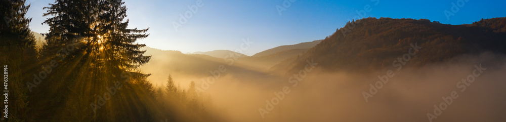 Mountain landscape. Autumn forest in the fog, dawn. Drone view