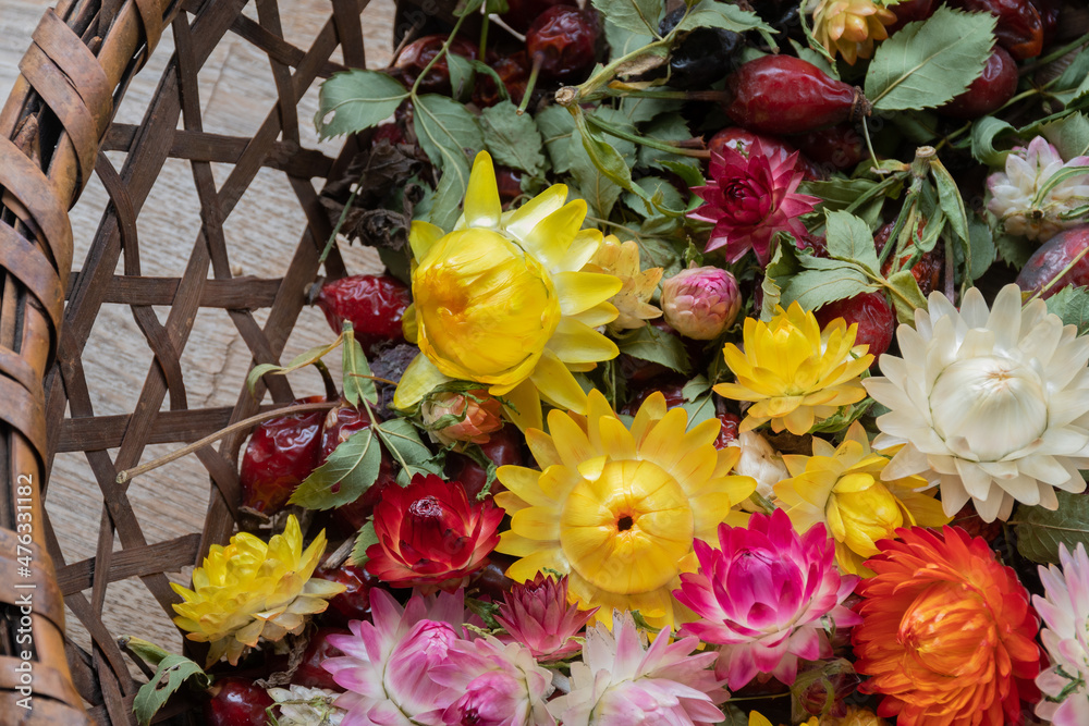 Obraz premium カラフルな花の壁紙素材