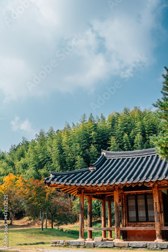 Juknokwon bamboo forest and Korean traditional house at autumn in Damyang, Korea © Sanga