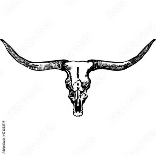 Longhorn skull SVG design, bull skull, cow skull, farmhouse decor, Wild West and cowboy drawing
