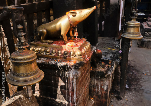 Kathmandu, Nepal: A golden rat, vehicle of Ganesh, is perched on a plinth of the Kasthamandap in Kathmandu's Durbar Square.