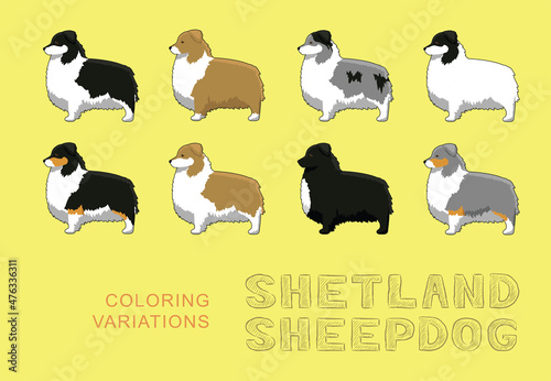Dog Shetland Sheepdog Coloring Variations Cartoon Vector Illustration photo