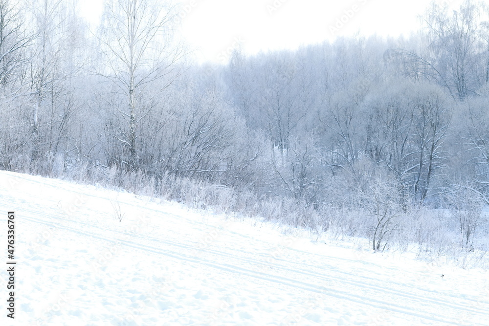Park with snow covered trees on a clear sunny day, winter landscape. White, pastel colors.
Park with snow covered trees on a clear sunny day, winter landscape. White, pastel colors.
