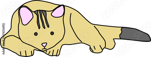 横になる黄色の可愛い猫