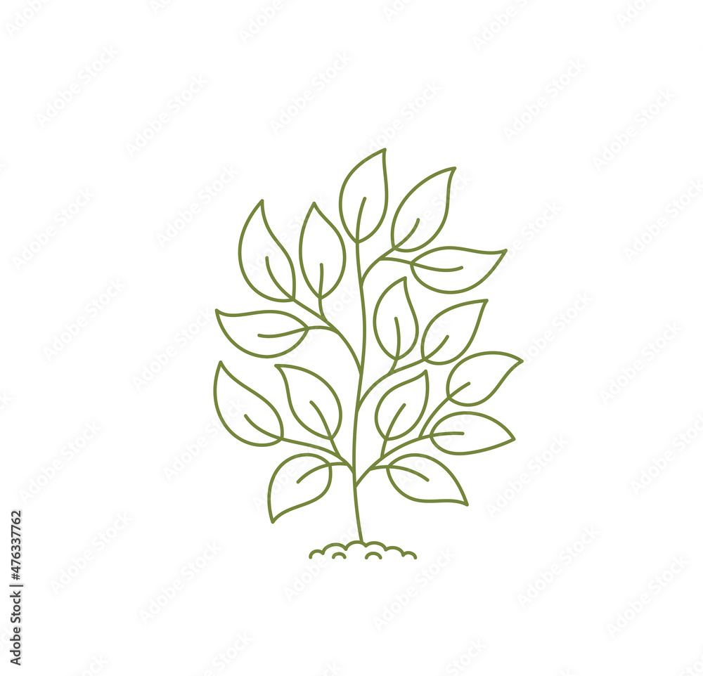 Outline small tree. Open paths. Editable stroke. Custom line thickness. Vector illustration.