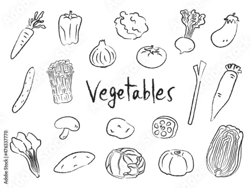 野菜　ベジタブル　手描きイラスト