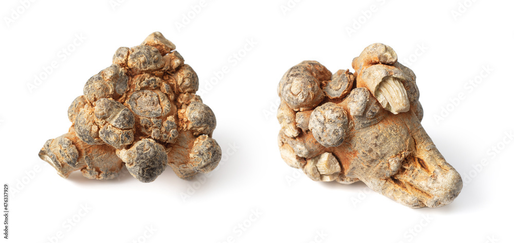 Dried notoginseng isolated on white background Dried notoginseng isolated on white background