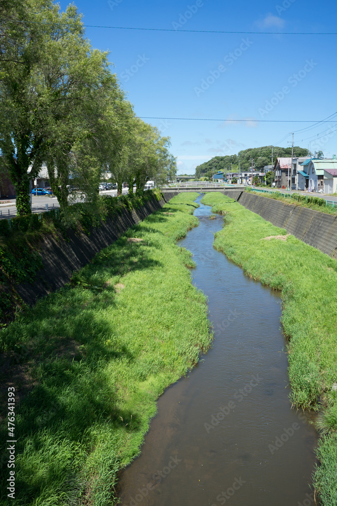 川辺の風景