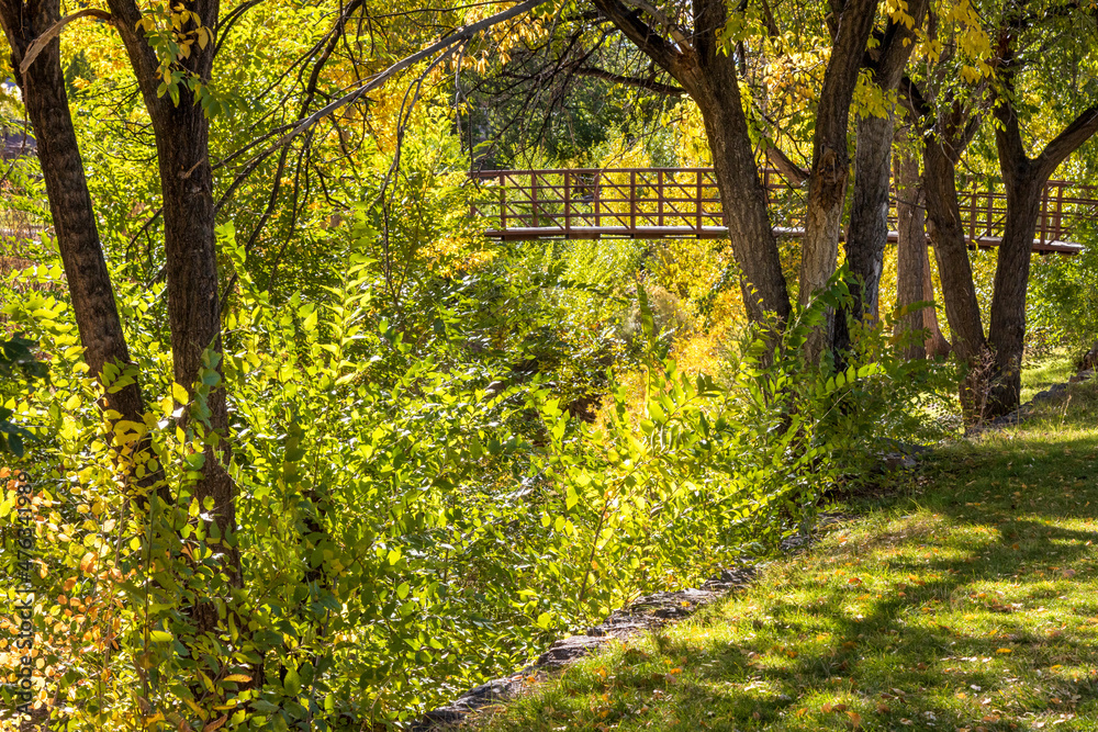 Obraz premium Early Autumn