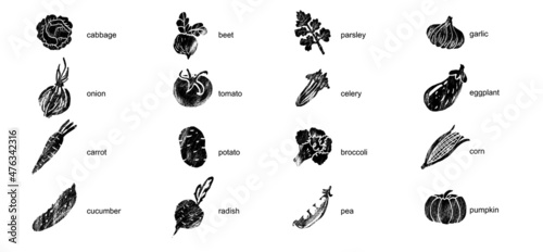 Vegetables, greenery and legumes abstract illustration. Flat vector. Vegetable icons, drawn black and white style.