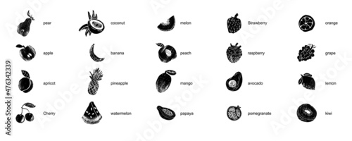 Fruits and berries abstract illustration. Flat vector. Fruit icons, drawn white and black style.