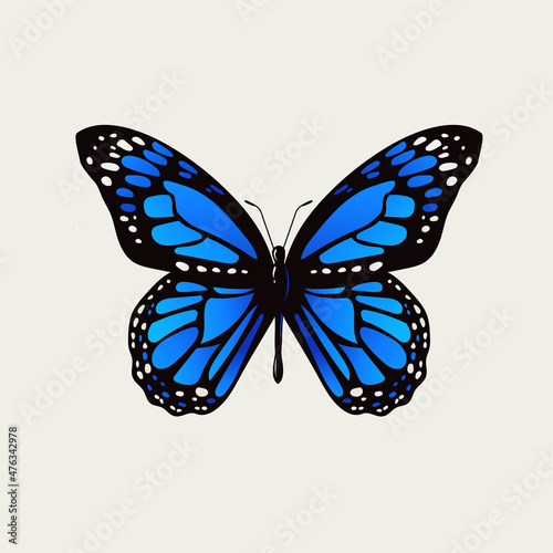 beautiful colorful butterfly vector © krustovin