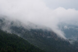 Misty foggy mountain landscape. Nature mountain forest landscape. Scenic background. Mystery weather in the mountains.