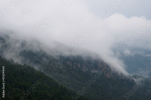 Misty foggy mountain landscape. Nature mountain forest landscape. Scenic background. Mystery weather in the mountains.