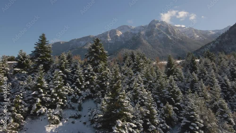 aerial winter snow mountains with trees aerial winter snow mountains with trees