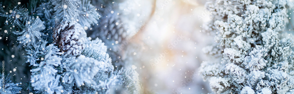 Closeup of Christmas pine tree with snow, New Year holiday background. Closeup of Christmas pine tree with snow, New Year holiday background.