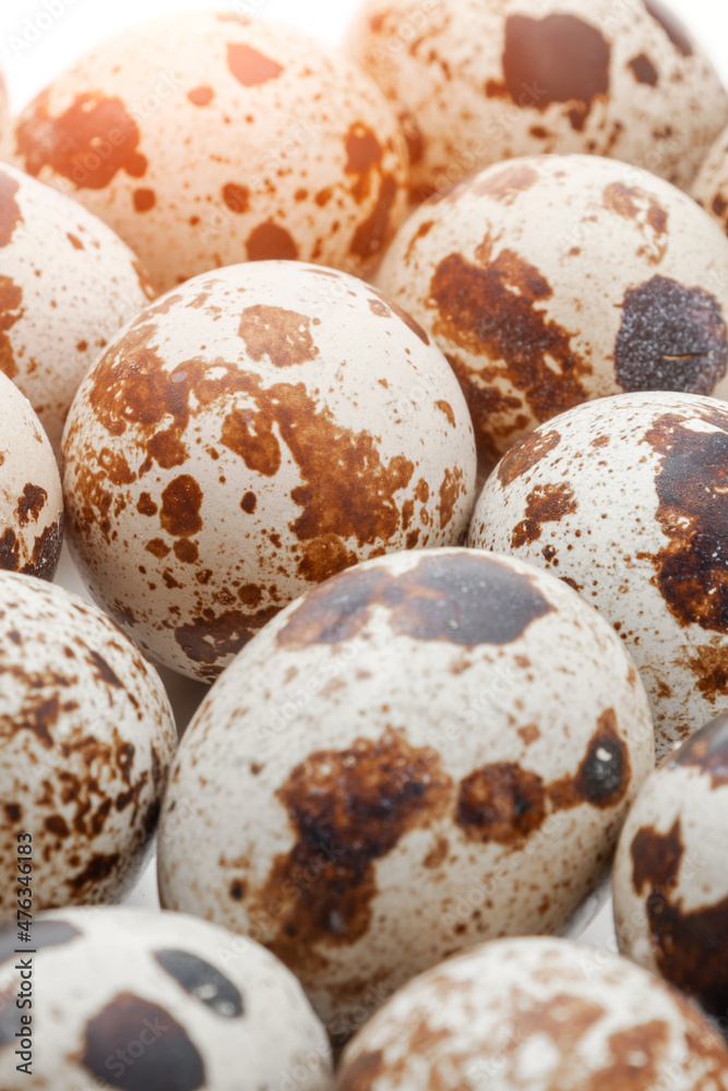 quail eggs close up on white background