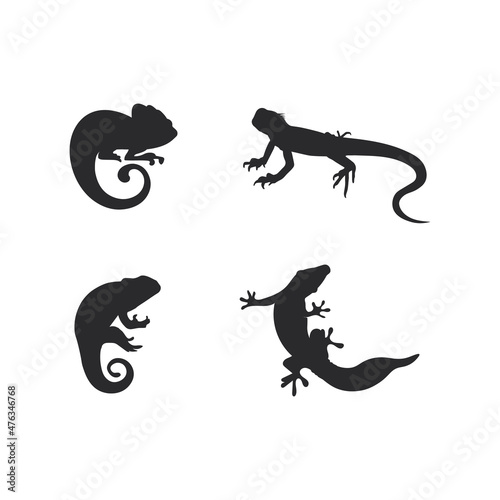 animal vector lizard salamander gecko crocodile and reptiles design logo © anggasaputro08