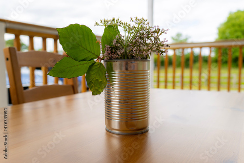 plant in a vase Fototapet