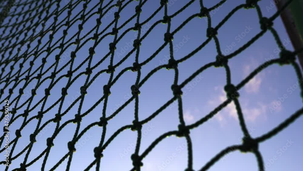 The protective net is in the baseball field.