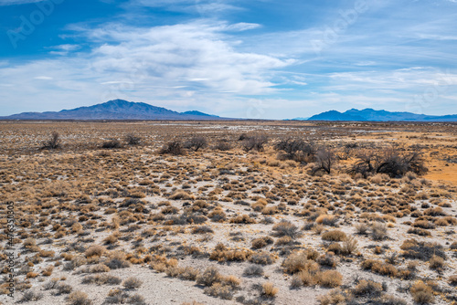Salt Desert Scrub vegetation community at Ash Meadows National Wildlife Refuge in Nye County, Nevada. photo