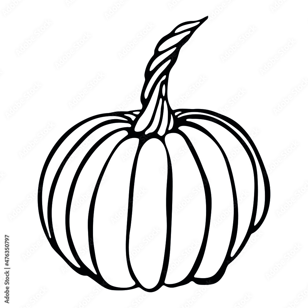 Vector hand drawn illustration of pumpkin. Isolated object on white background. Vegetable harvest clip art. Farm market product. Elements for autumn design, decoration. Vector hand drawn illustration of pumpkin. Isolated object on white background. Vegetable harvest clip art. Farm market product. Elements for autumn design, decoration.