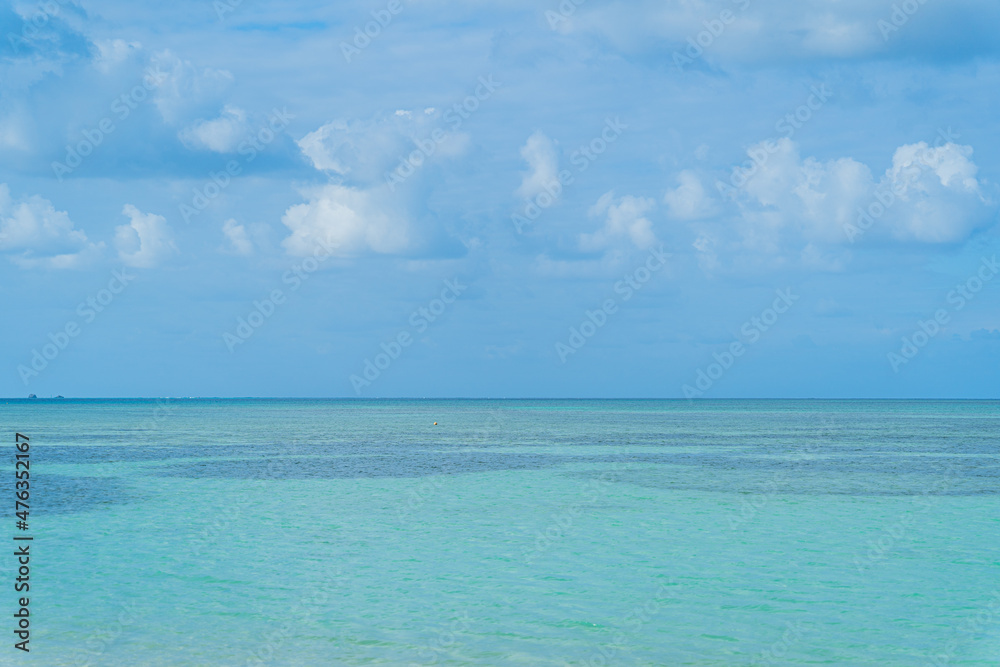 Obraz premium コンドイビーチ