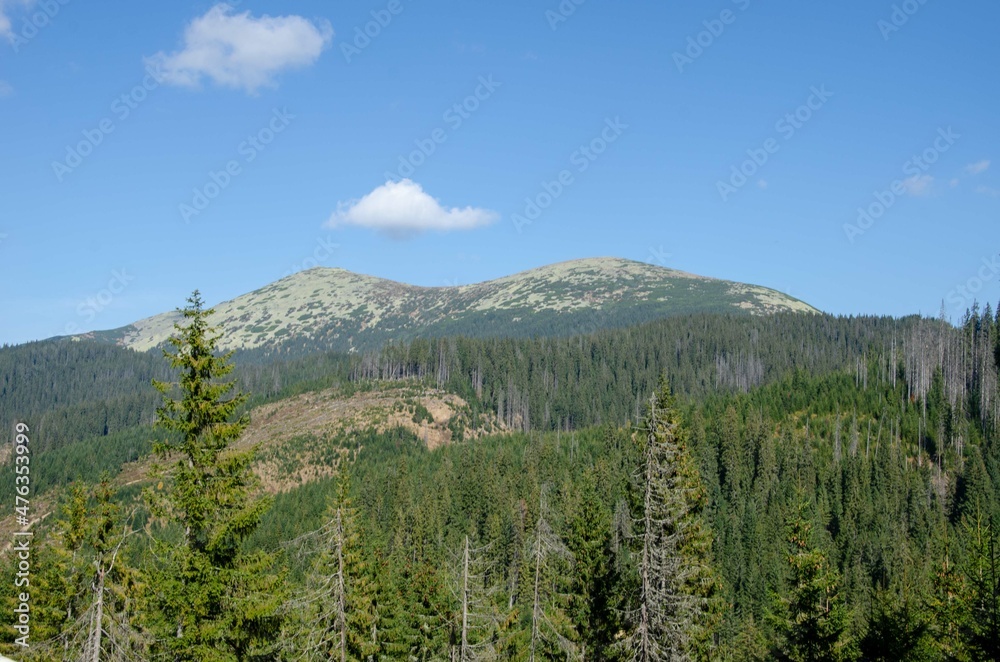 landscape with sky