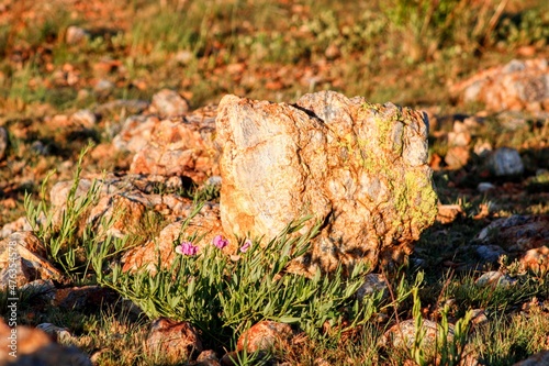 Beautiful rocks boulders in the savannah with the golden glow of sunset