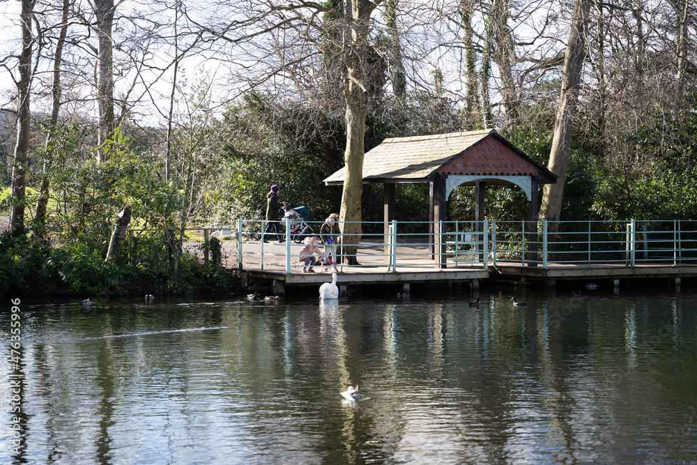 Fototapeta premium house on the river