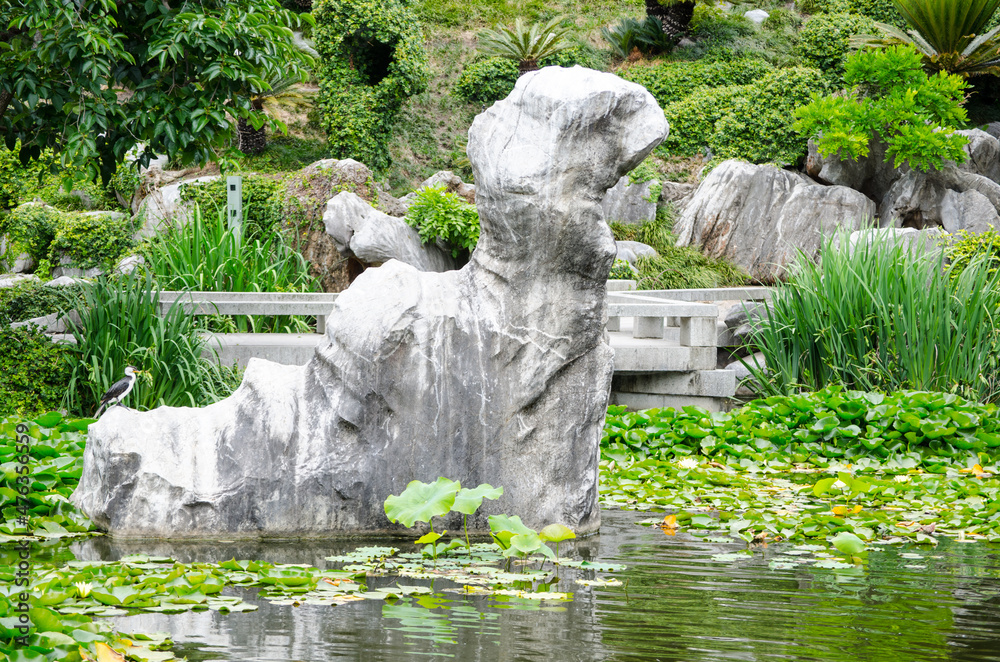 Amazing shape of natural stone in a pond for garden decoration.